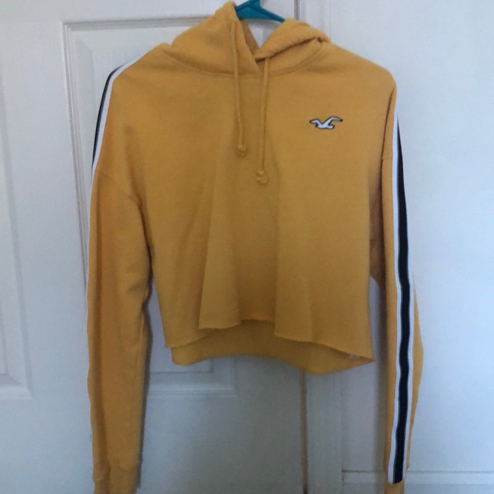hollister cropped hoodie